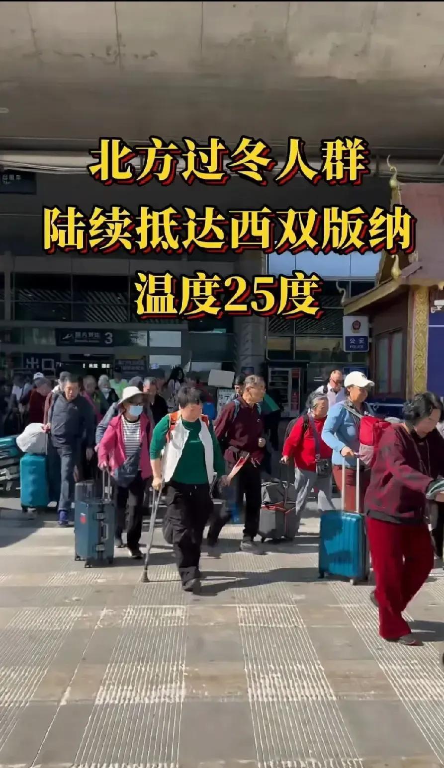 东北大爷大妈组团飞西双版纳过冬，机票一订就是三个月往返。景洪街头早市一口大碴子