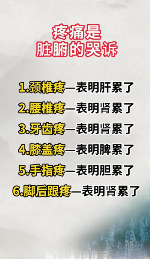 颈椎腰椎脚后跟频繁酸痛？疼痛其实是脏腑在发出信号
