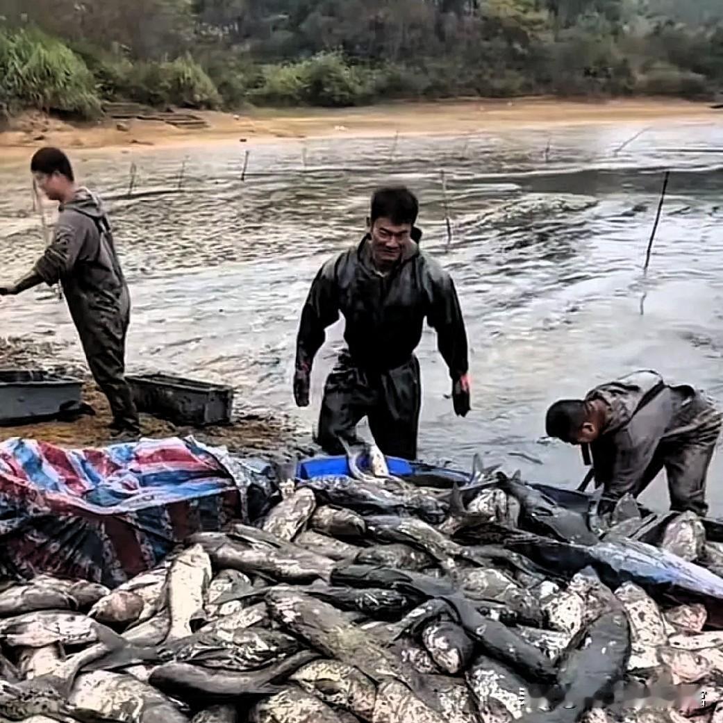 湖南衡阳一名19岁男生深陷人生困境，父母相继离世后，家中失去经济支柱，高昂学费让