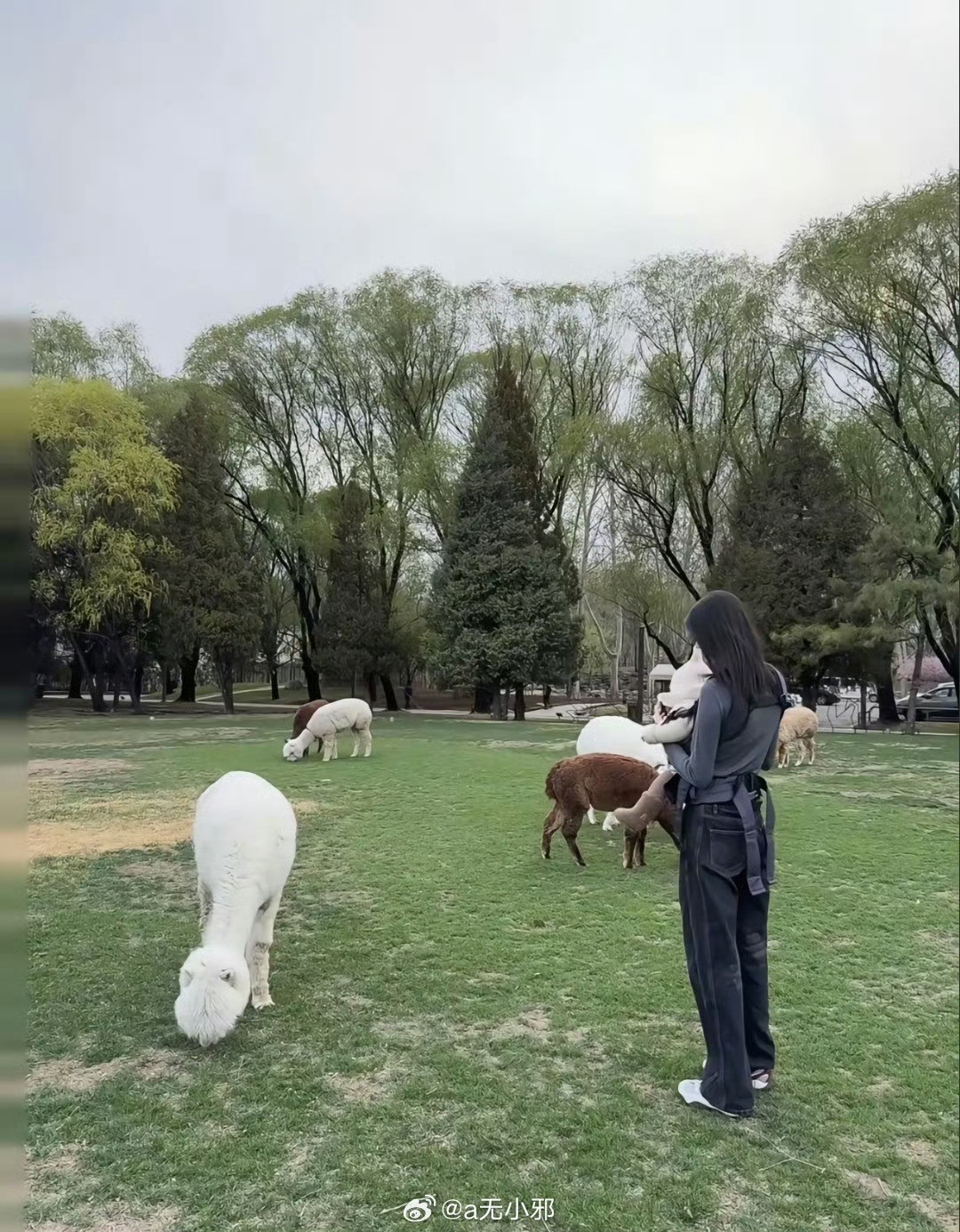 何穗带娃看小动物在社媒分享带宝宝出门的照片，好温馨！T台上是气场全开的超模，私下