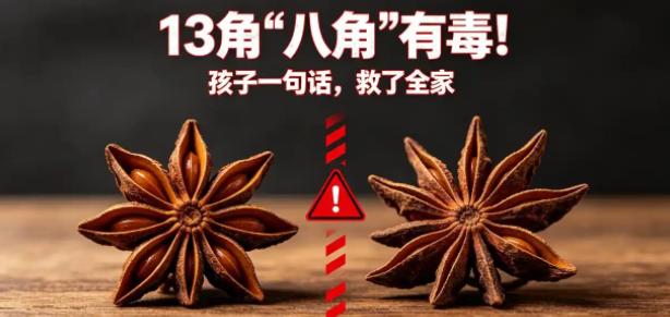 “孩子一个好奇，救了一家人的命！”浙江一名女子炖肉时，放了几颗八角。旁边的儿子