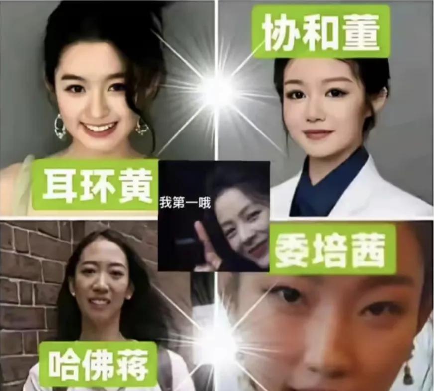 2025上半年刷新众人三观的四大女子，天价耳环的黄小姐，协和的董小姐，哈佛的蒋小
