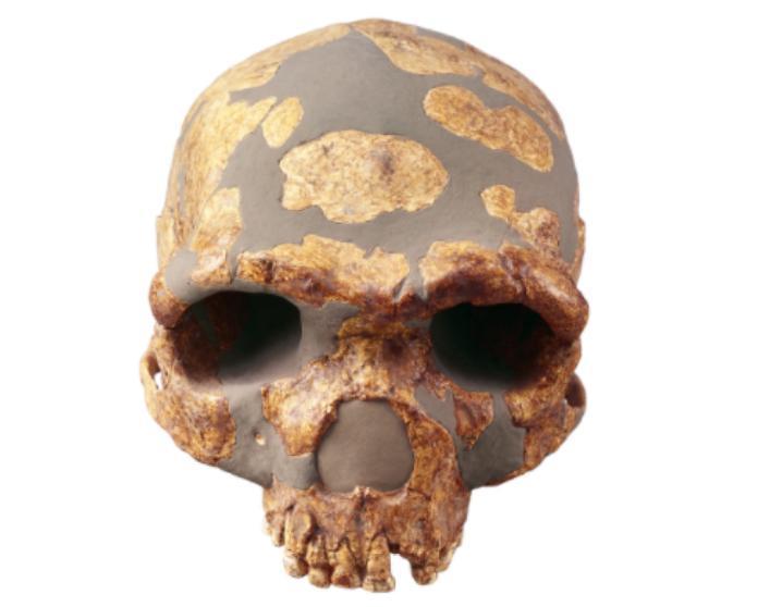 “再不扔了，就离婚！”1984年，辽宁一男子带人头骨回家，吓坏妻子和邻居，妻子以