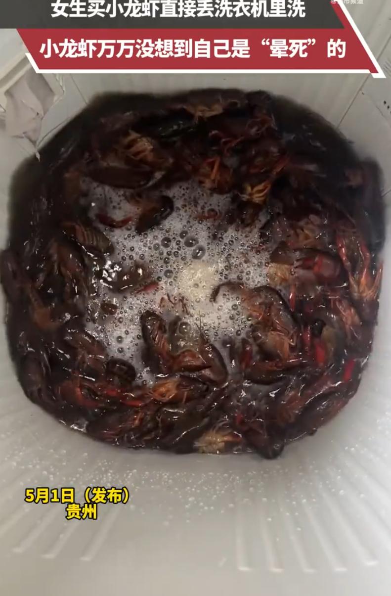 贵州，女子心心念念想吃小龙虾。跑去市场买了好几斤，拎着袋子美滋滋往家走，脑子里已