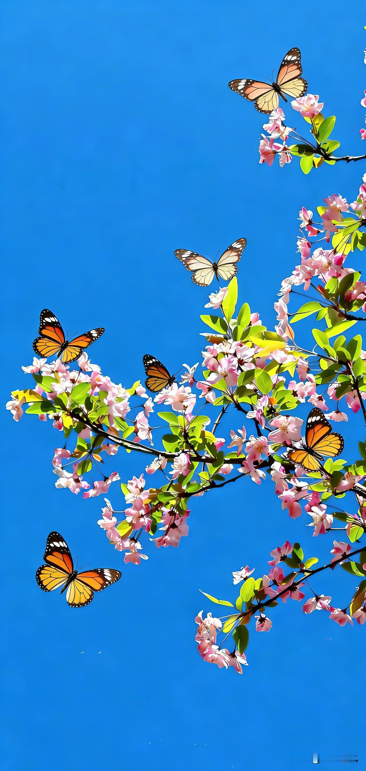 心理学家说：“什么样的人，一眼就能看出有童年创伤？就看这3点：第一，胆小怕事