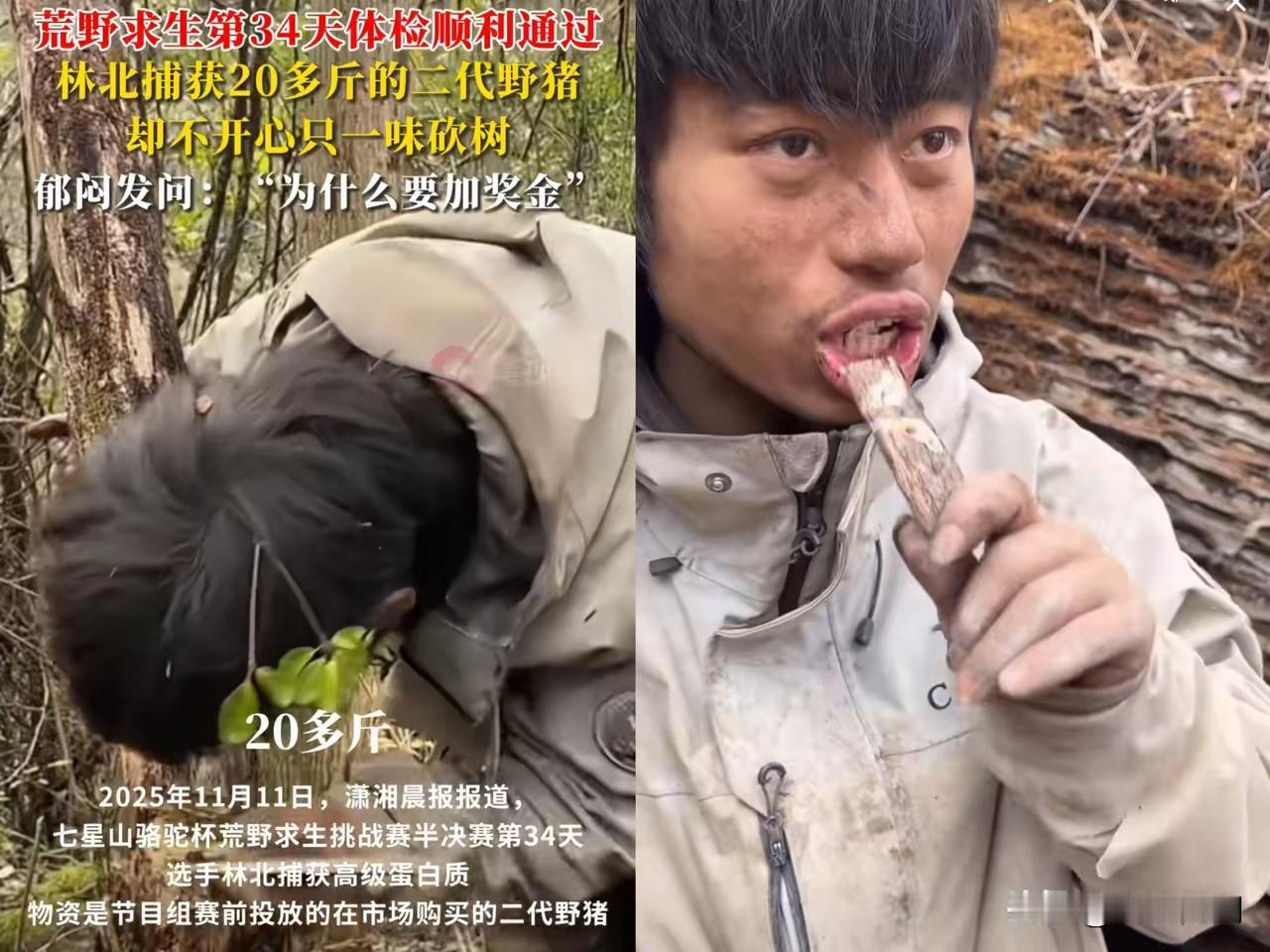 谁懂啊！林北在这场荒野求生中简直杀疯了，感觉冠军已经在向他招手了！苗王都被他整
