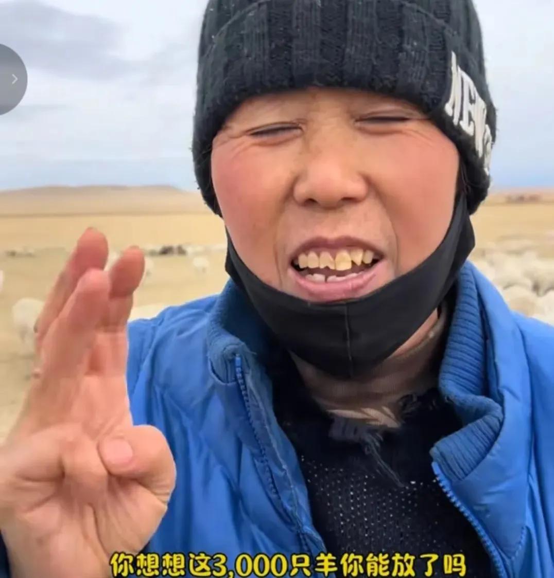 内蒙古放羊一月一万六？蒙古大姐一语道破天机，给五万六也不能放最近网上在传