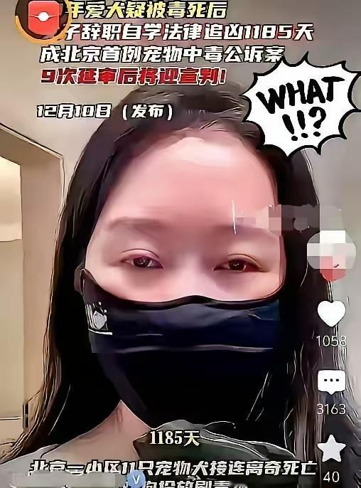 惊闻小区有人投毒，几家的狗狗给毒死了。既然狗被毒死了，那说明狗主人遛狗时既没牵绳