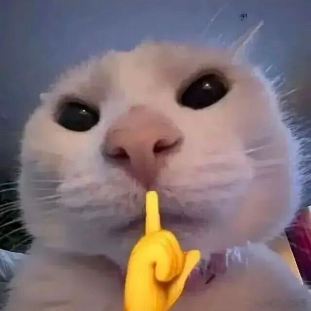 猫咪表情包。