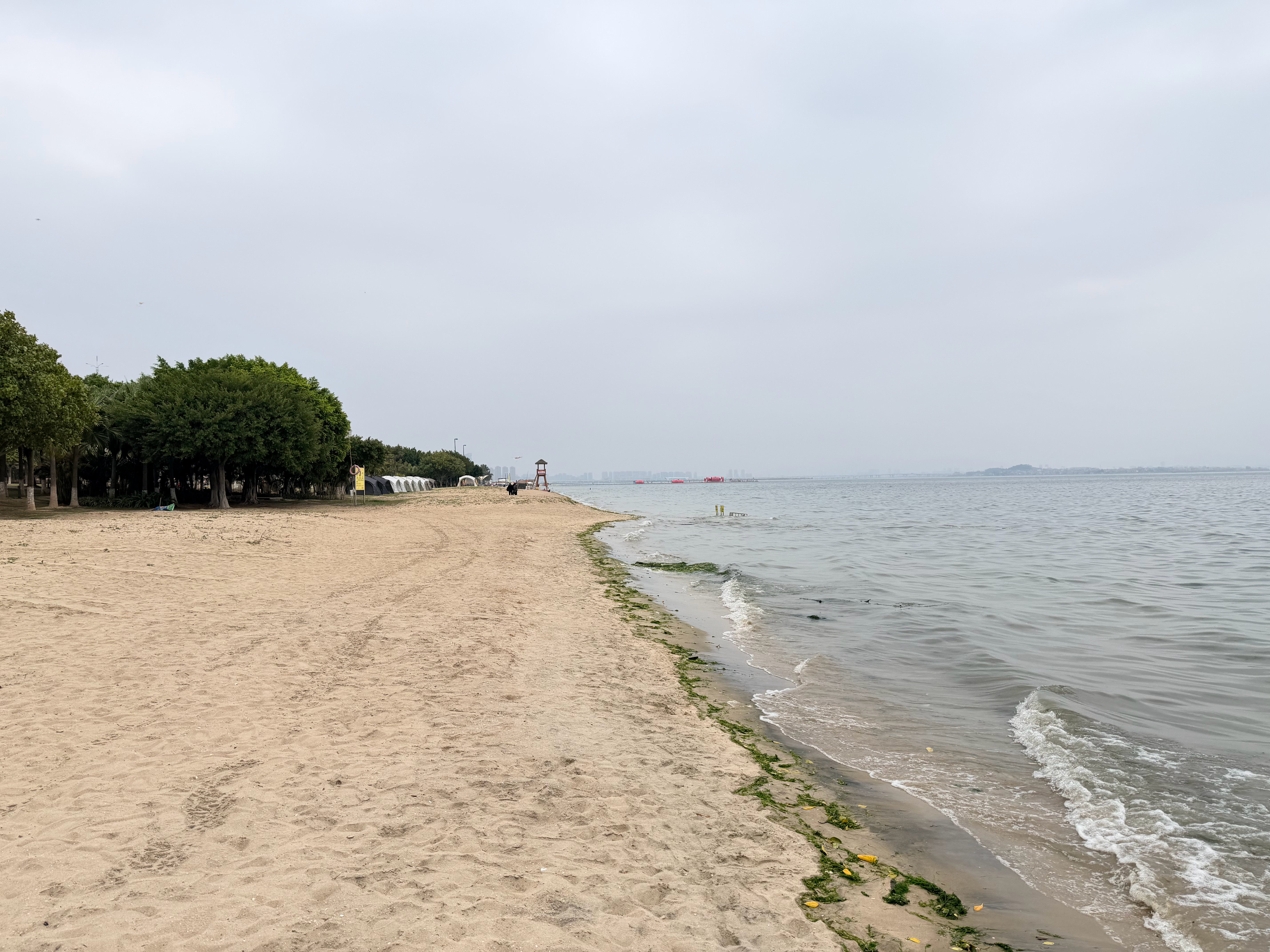 太惨了，和芋圆来厦门好几天了，天天都是阴天厦门