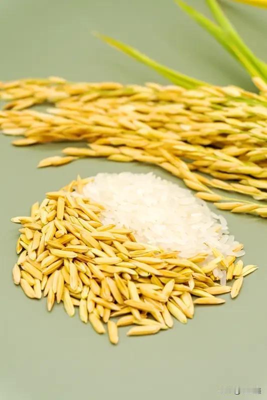 买油买米的秘密，女人再忙也要收藏买米1.袋子上标准号1345为普通大米2