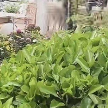 这儿的风景都看腻了ヾ(≧O≦)〃嗷~