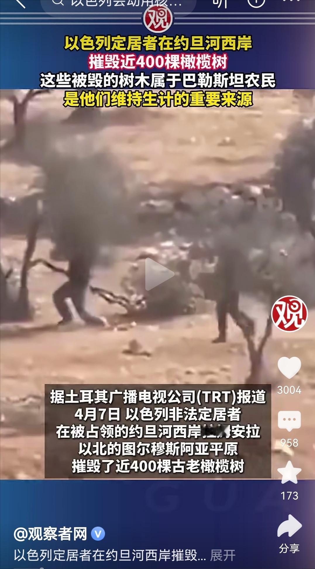 砍400棵巴勒斯坦橄榄树?今天看到约旦河西岸的新闻，真的气得手发抖。就在4