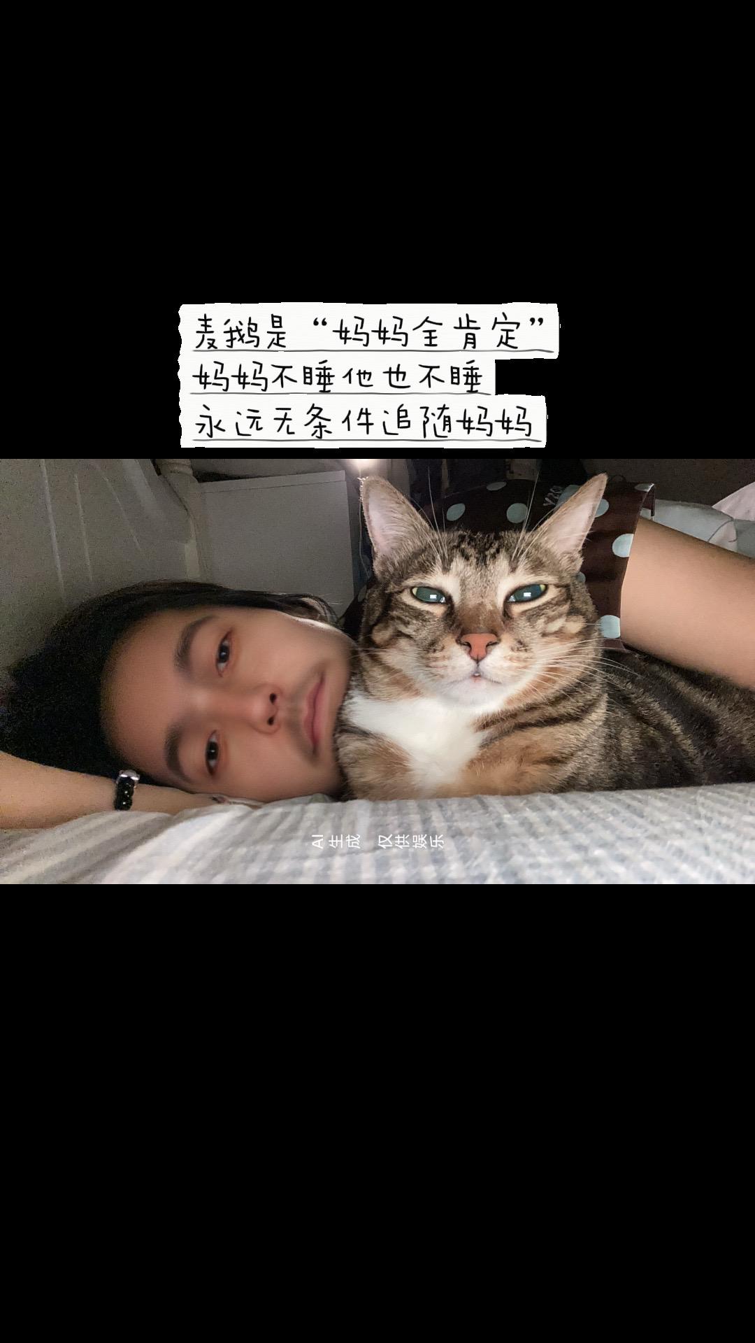 谢谢小猫