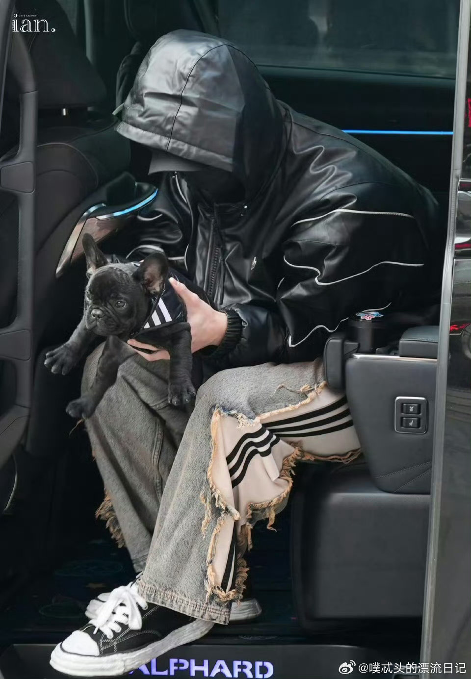 何与养狗了何与抱狗上班何与喜提黑色小法斗，上班都要带着，软萌乖巧超听话，可爱到