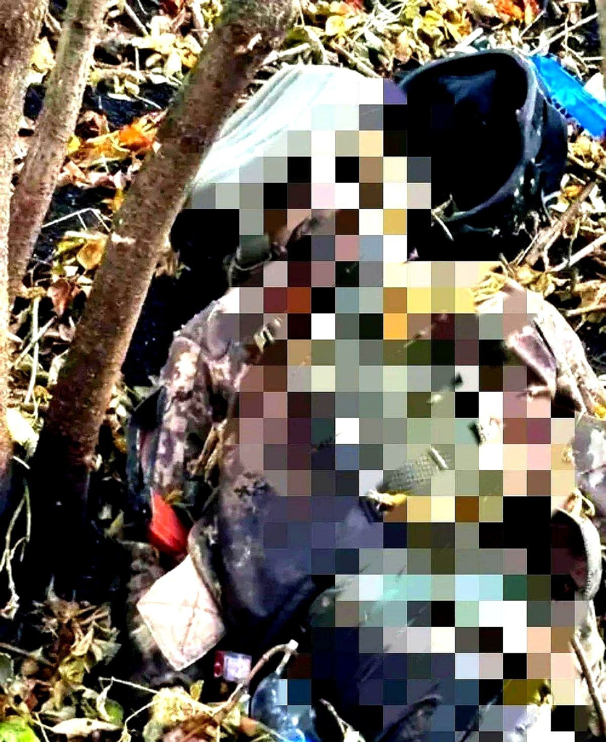 尸体交换变罗生门---这事儿，真