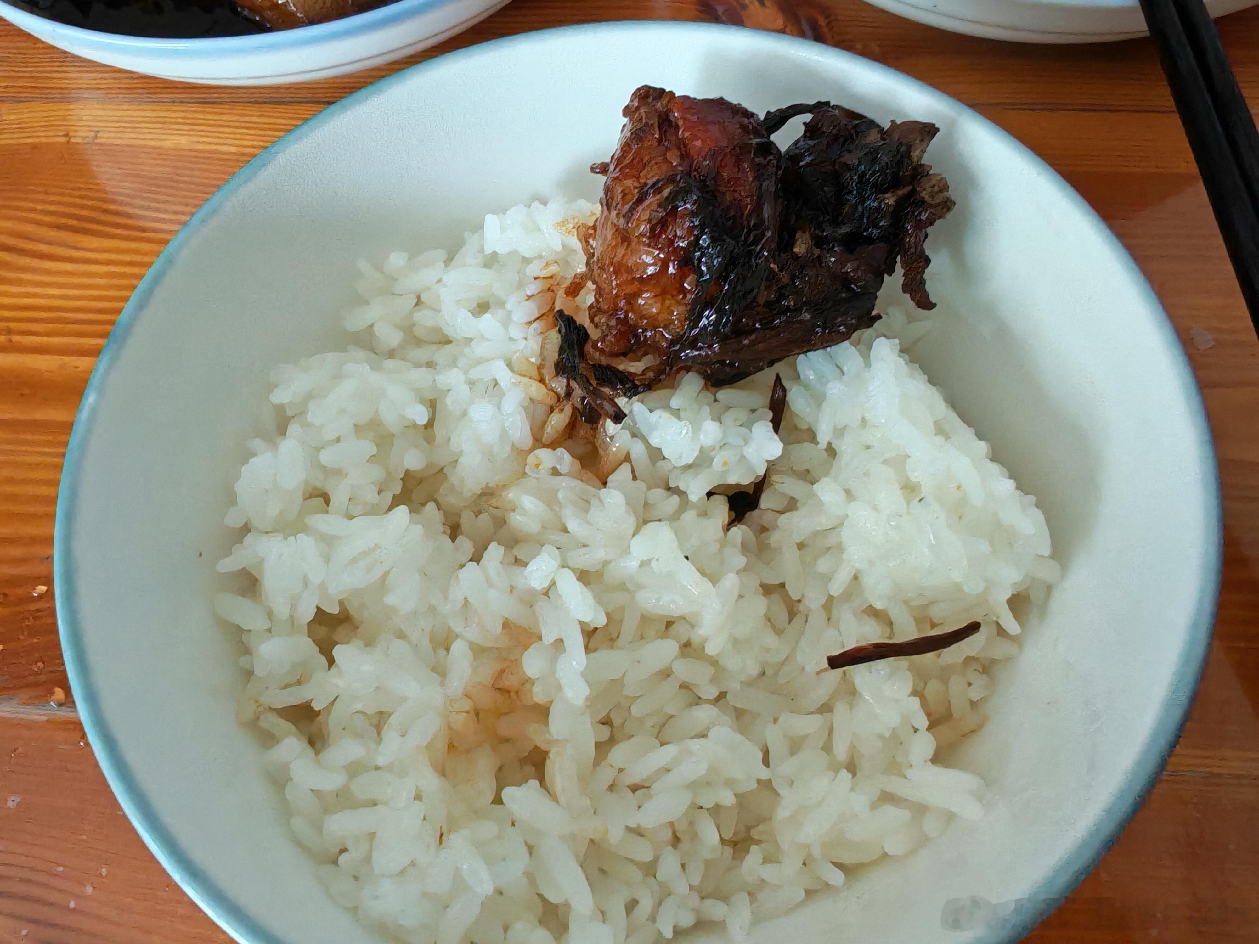 好好吃饭肉肉饭饭真好吃