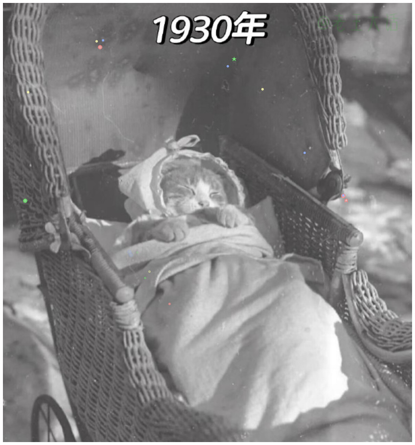 一百多年前的小猫