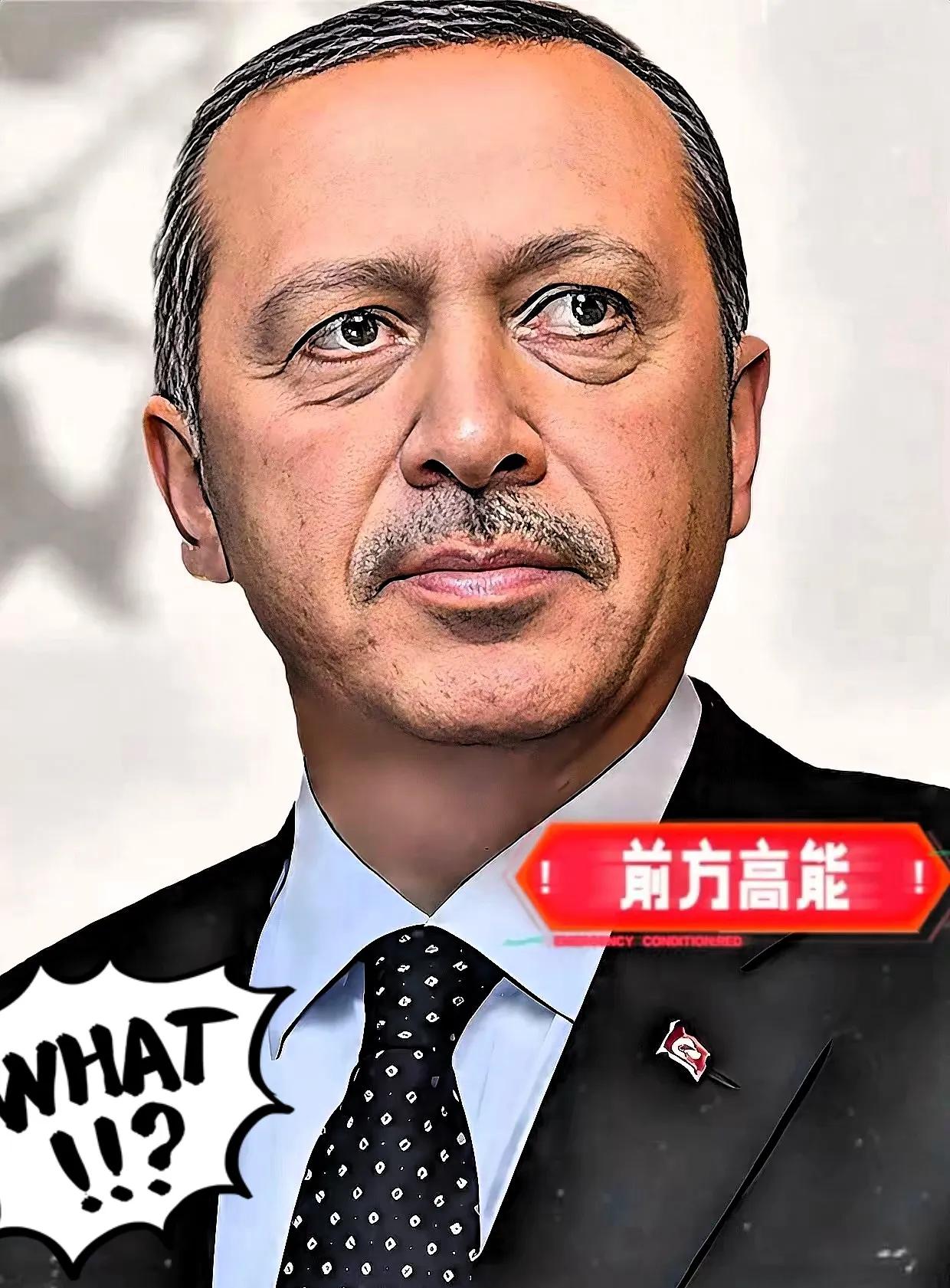 土耳其与埃及共同宣布了！9月20日，土耳其与埃及宣布举行联合军演，在距以色列海