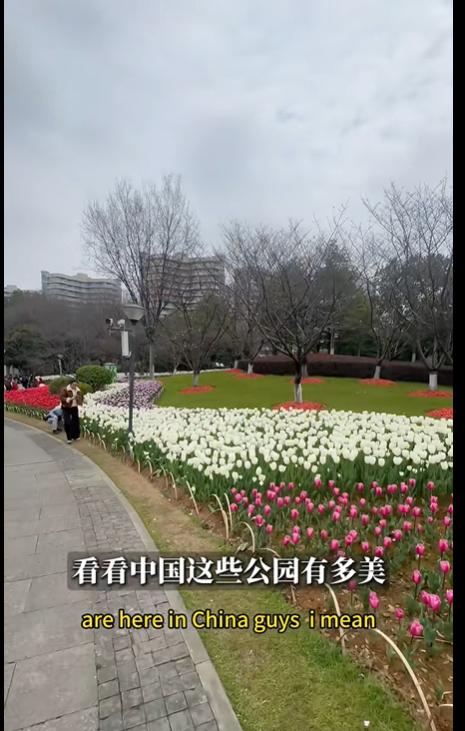 外国人不敢相信，中国普通的公园居然这么美，种植的居然还是真花。国外的媒体都是