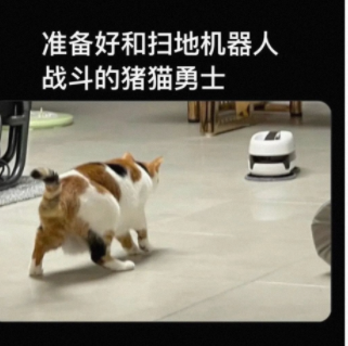 即将有一场大战