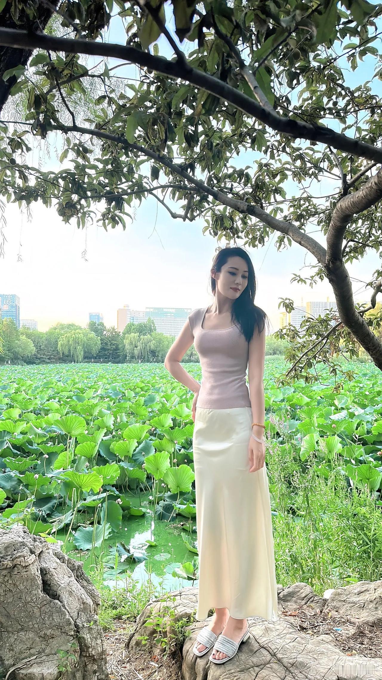 冬日荷塘漫步，清新自然，绿意盎然。