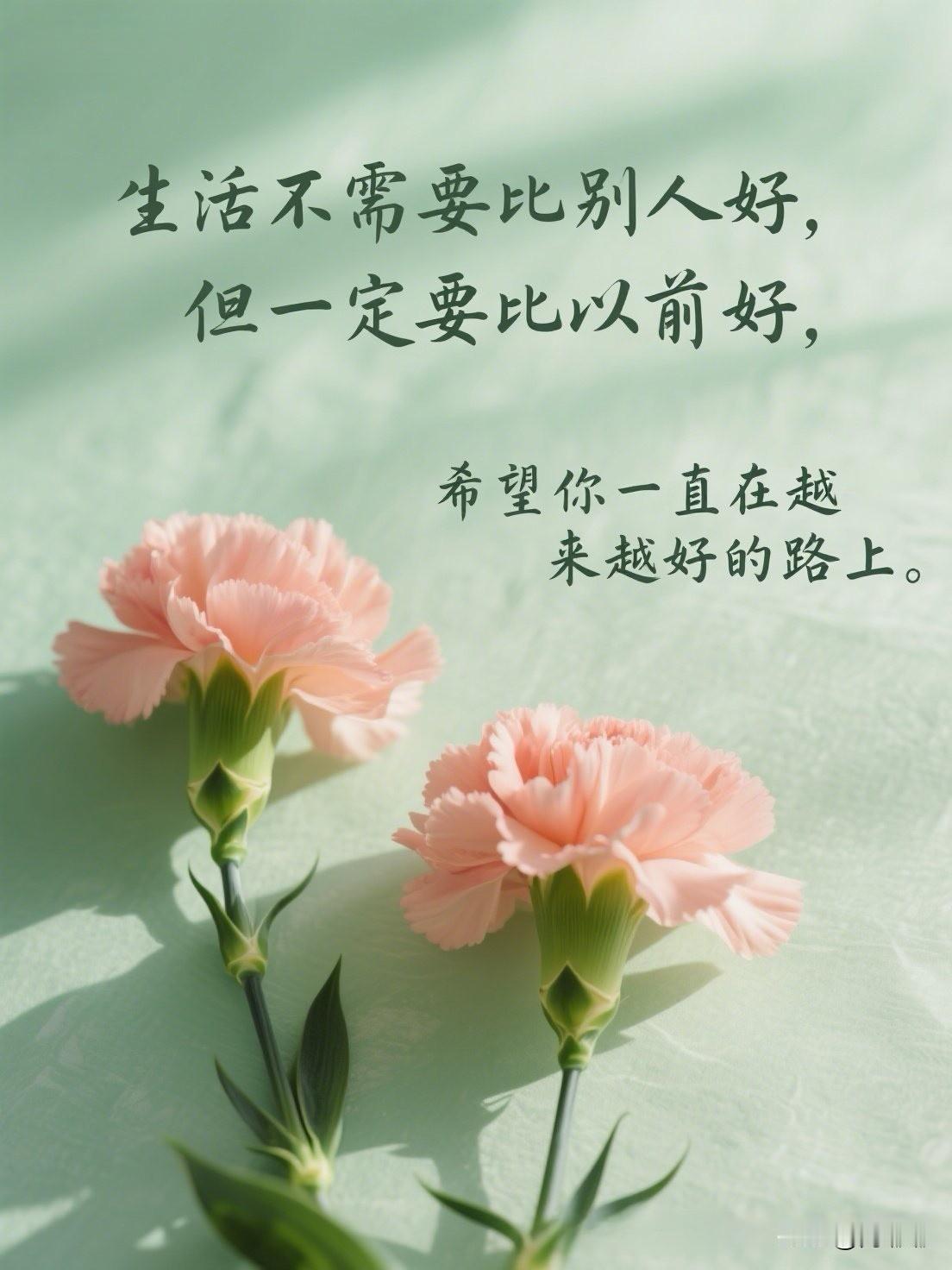 生活不需要比别人好，但一定要比以前好，希望你一直在越来越好的路上。[祈祷]人这一