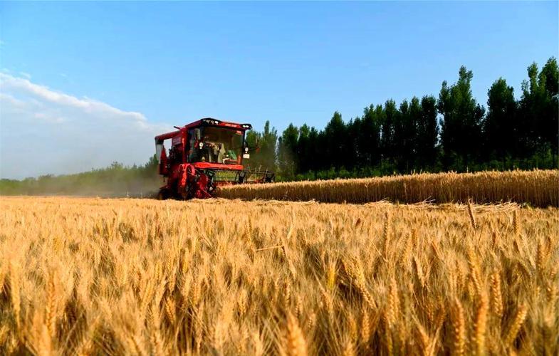 很多人都在担心，若沿海港口遭遇意外，中国经济能否扛住？2025年河南的经济成绩单