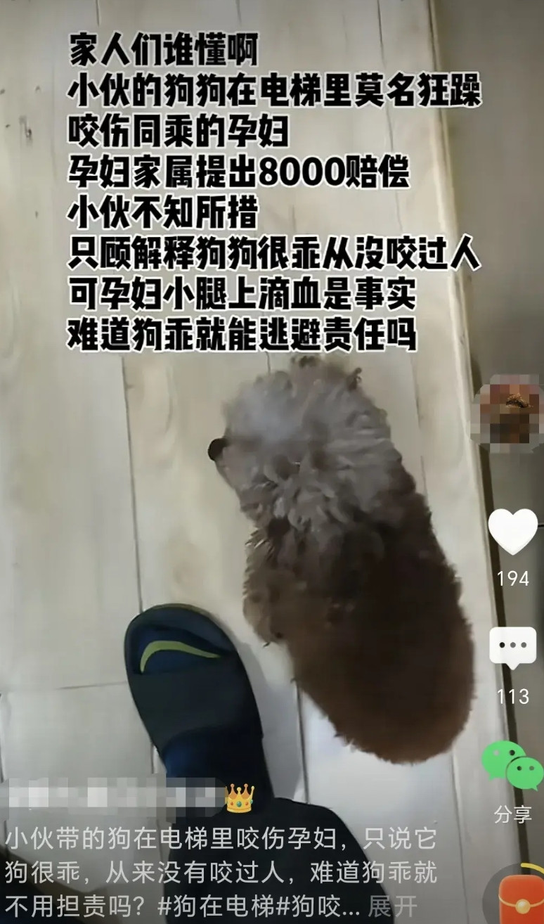刷到一条视频，说是狗在电梯里咬了孕妇，受害人家属索要8000元赔偿。网上有人