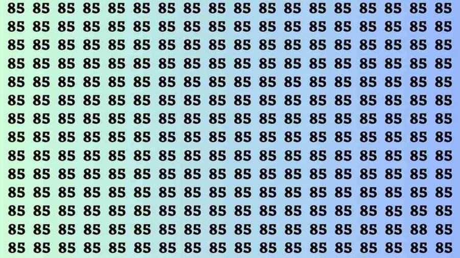 观察脑测试：如果你有鹰眼，45秒内找到数字88