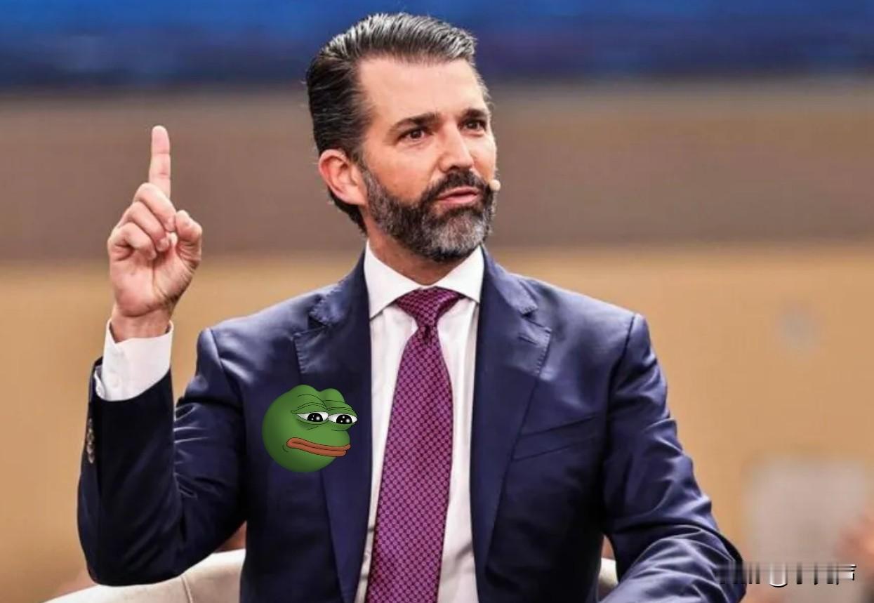 就在刚刚，特朗普儿子宣布了一个重大发现。美国总统特朗普长子小唐纳德·特朗普坦言，