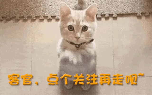 “好死不如赖活着”，这句话不知蒙骗了多少人。生命是宝贵的，即使久卧床上，浑身