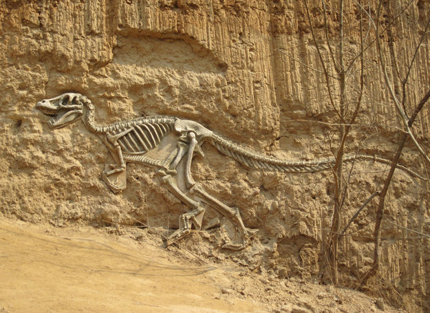吉林发现恐龙化石群 专家称可能是群体性恐龙墓地