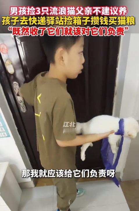 泪目了！6月26日，河南，一男孩捡了多只流浪猫狗，爸爸不同意他养，于是独