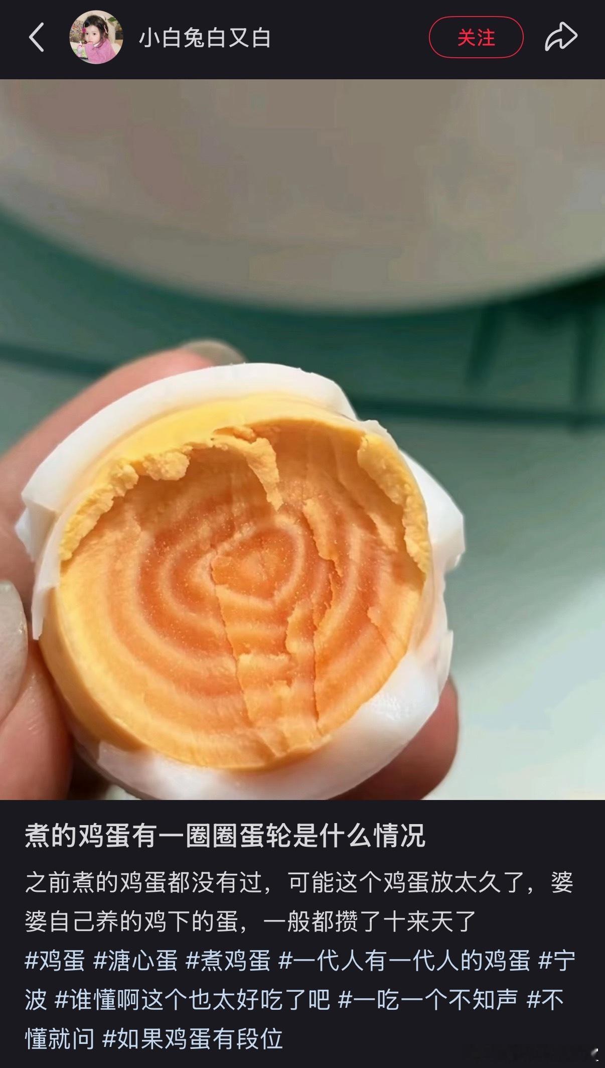 数着一圈圈蛋轮