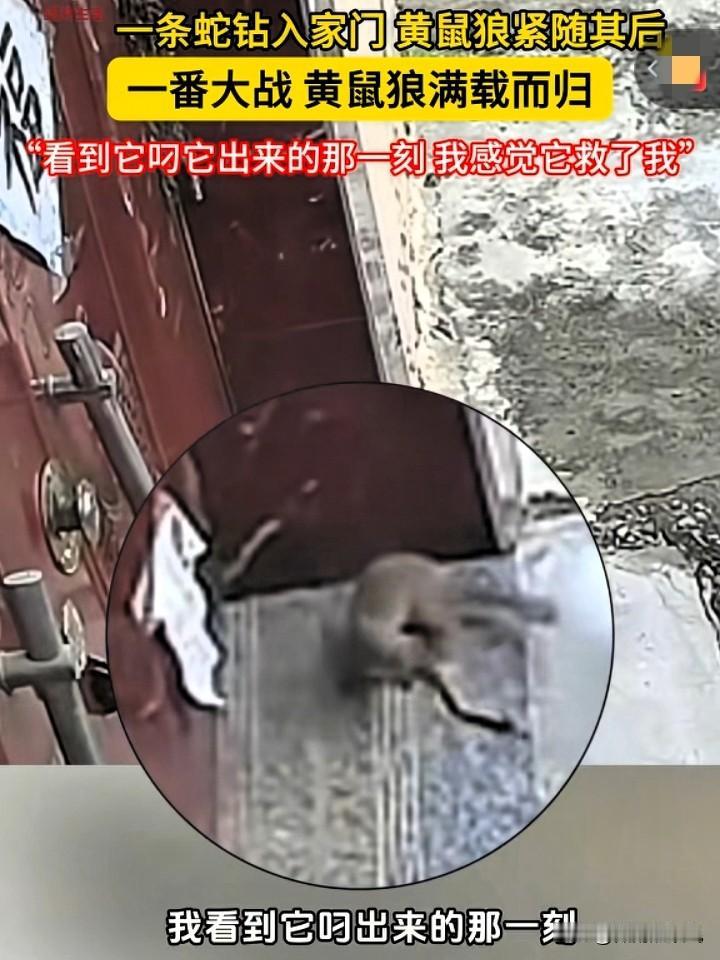 吵翻天啦！近日，安徽萧县的陈女士家里发生了一件趣味事，在网络上分享，没想到，却
