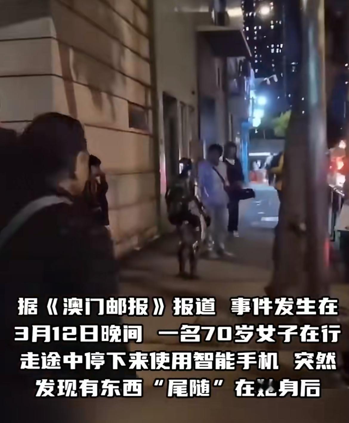 太搞笑了，机器人因尾随路人被警察带走了澳门沙梨头南街，一位70岁的老人由于停