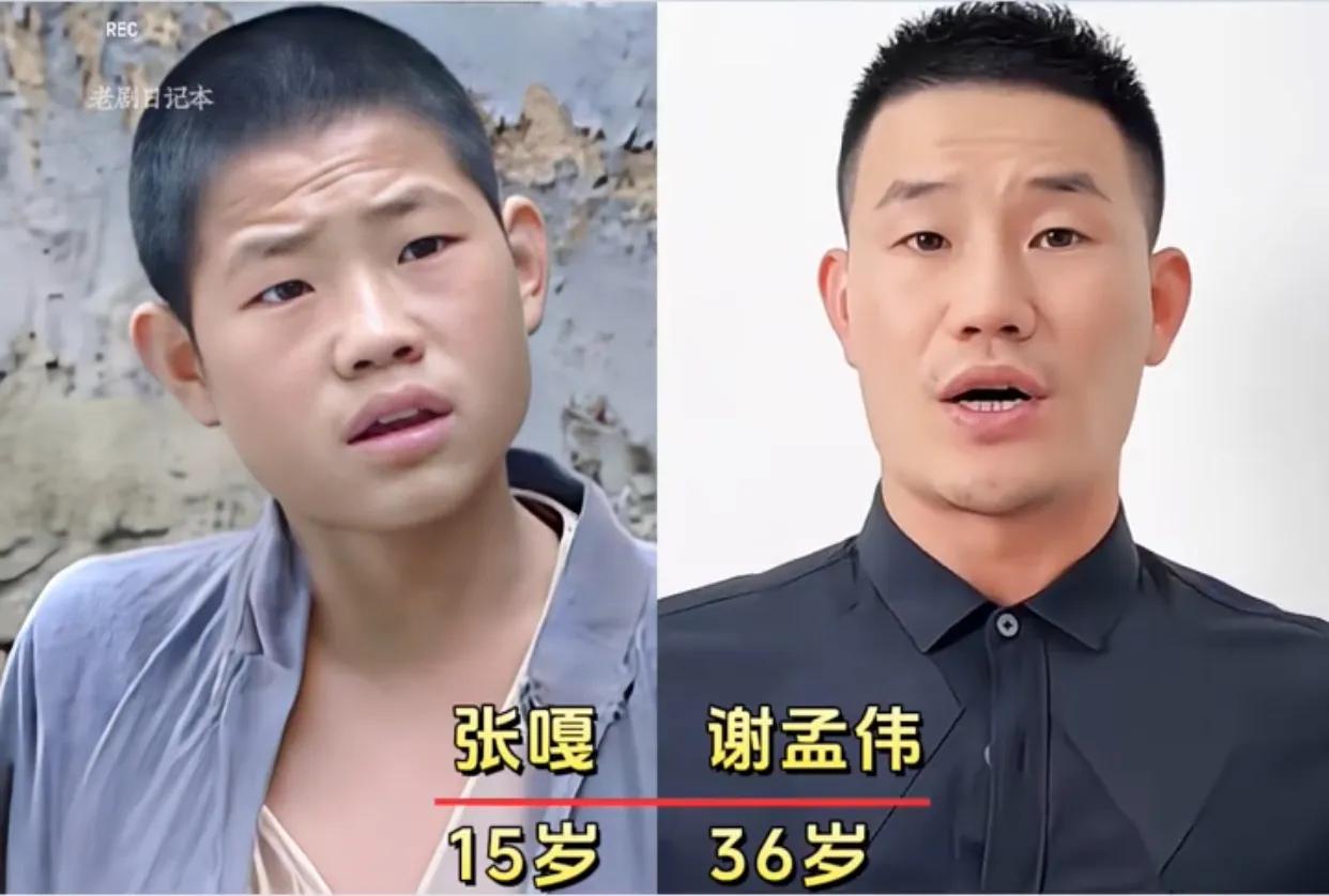 谢梦伟长大了。王莎莎长大了。杜雨长大了。金宏老了。张一山长大了。《小兵