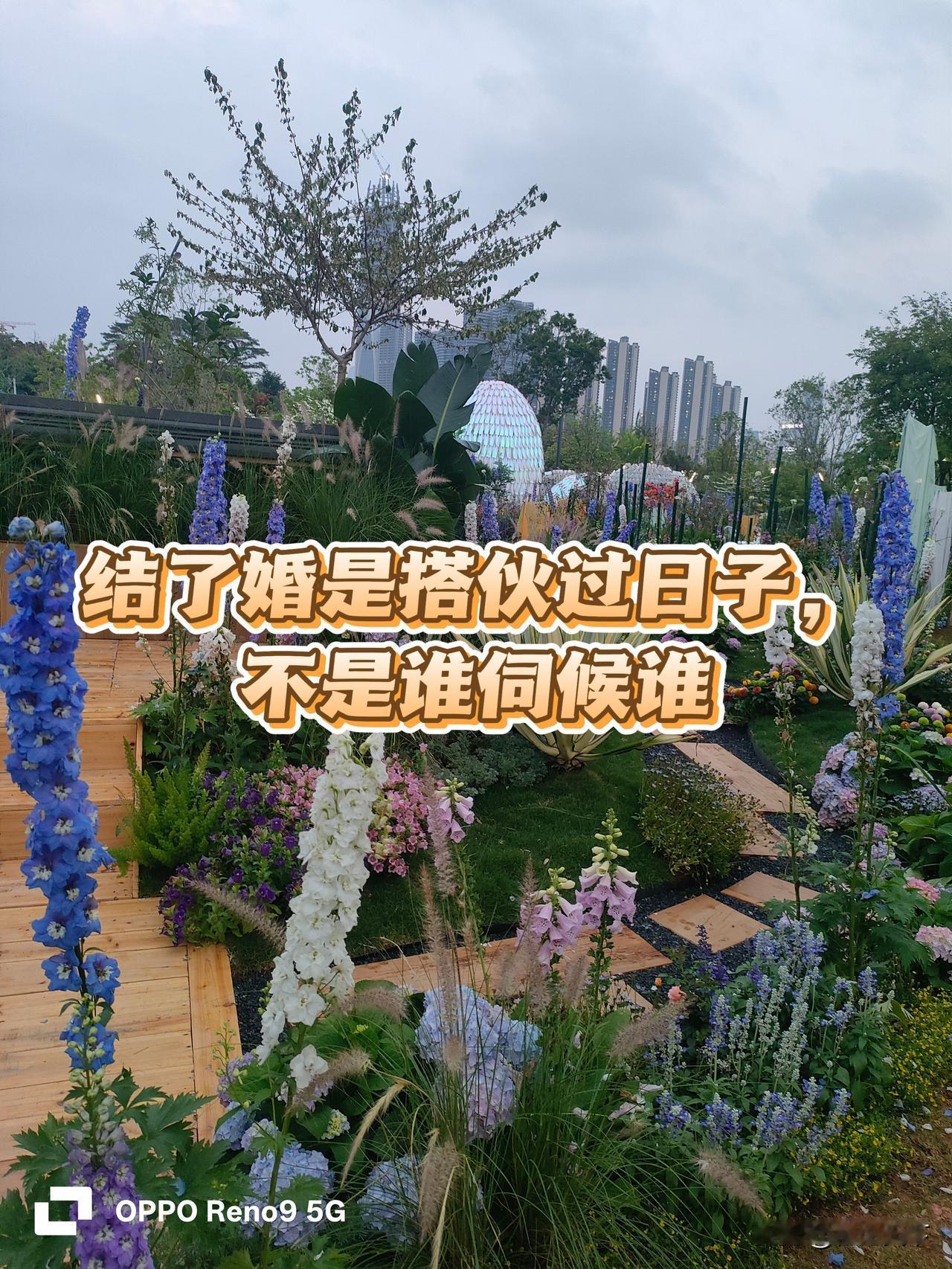 28.8万彩礼娶回家，五年不做饭不上班不生育，这婚结了个啥？老程说句大实话。