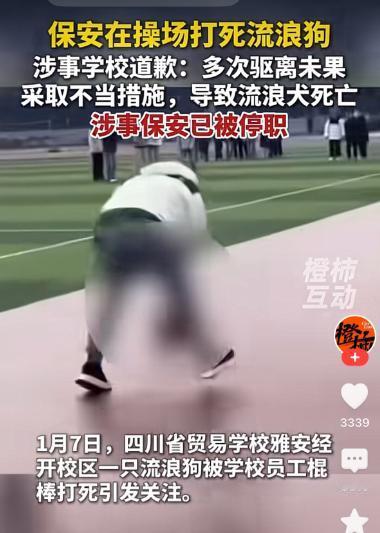 我发现，爱狗人士越来越猖狂！学生在操场上体育课，校园内来了一条流浪狗，被保安打死