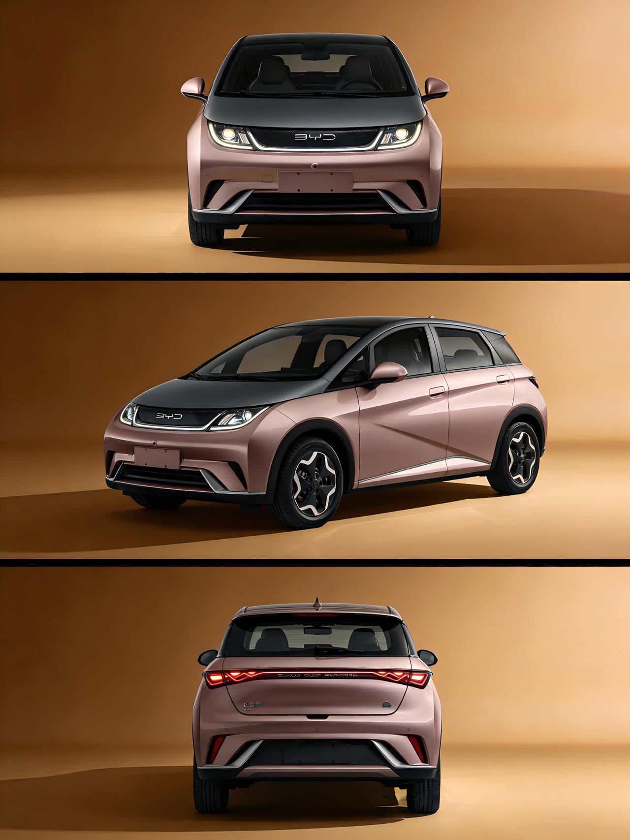 开了一年比亚迪海豚，晒出我的年度养车账单，没想到能这么省！我这台比亚迪海豚开了