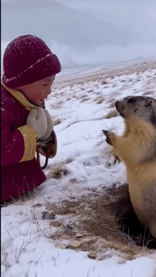 动物都喜欢小孩子！