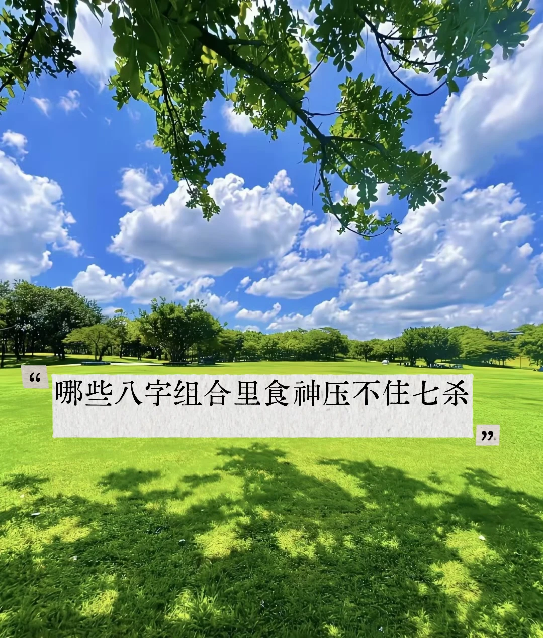 哪些八字组合里食神压不住七杀