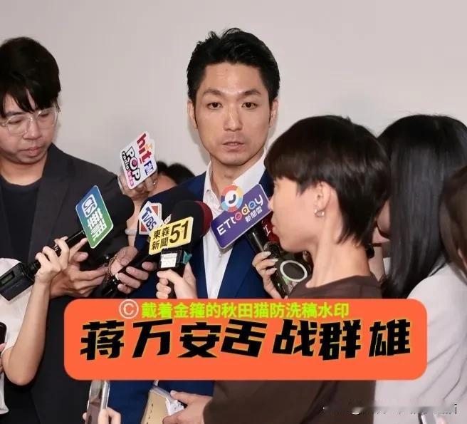 “冲我来！”蒋万安扛下责任、舌战群雄、大放异彩！吴子嘉爆绿营搞蓝绿对决背后精算：