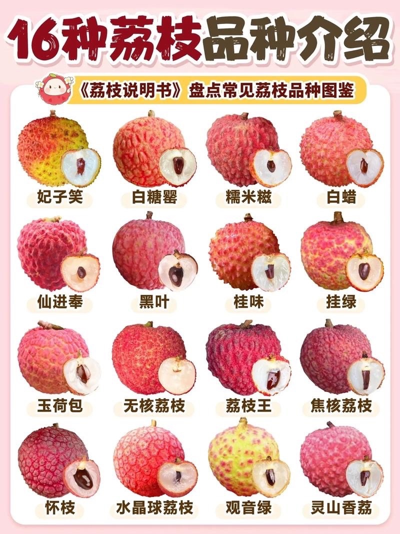 一棵荔枝树上竟结出30种荔枝最近几乎天天都在吃荔枝我管它什么种类荔枝，我狂吃​