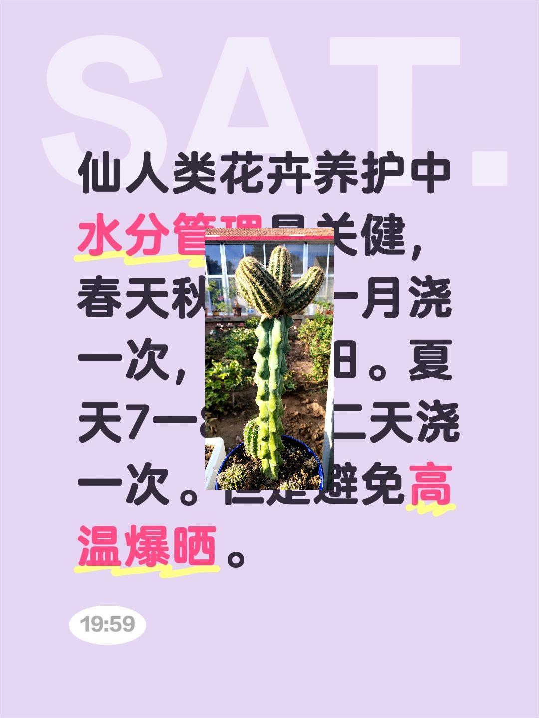 我评论了@刘洪彬养盆景的作品:仙人类花卉养护中水分管理是关健，春天秋天可一月