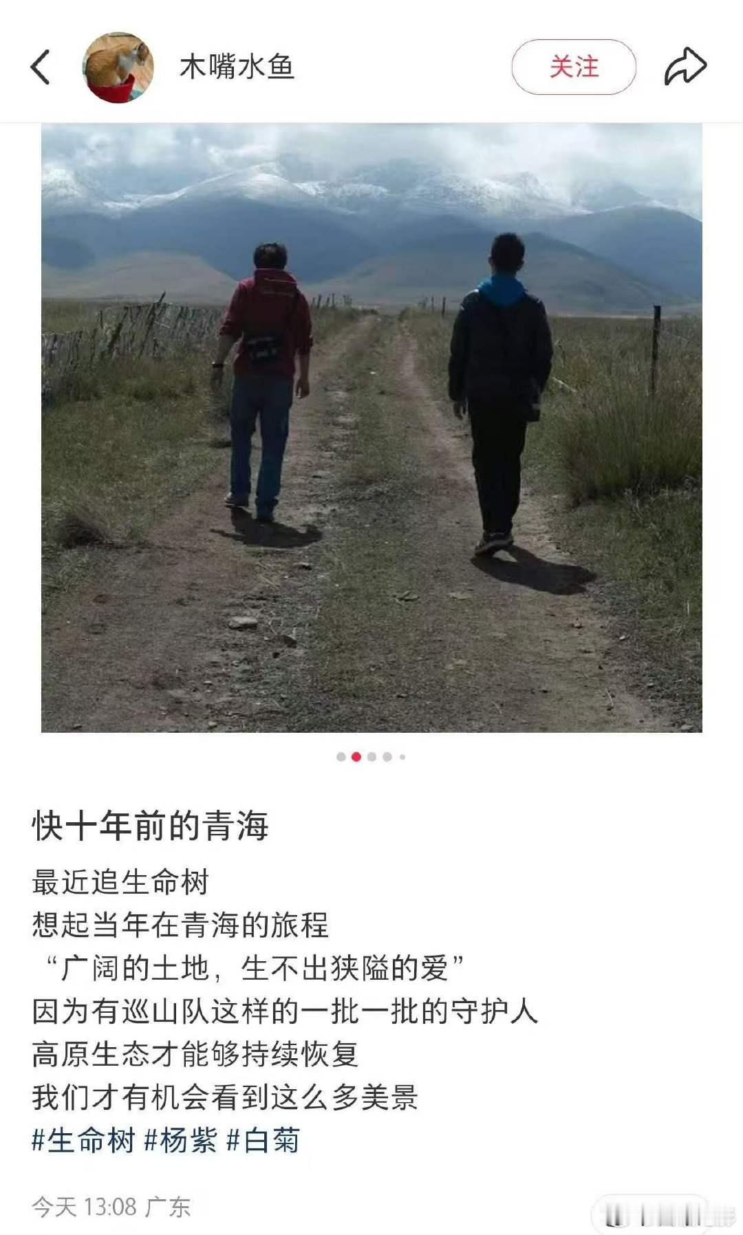 杨紫又一次封神了杨紫的剧目前为止还没有失望过生命树敢拍，生命树的意义是粉圈不