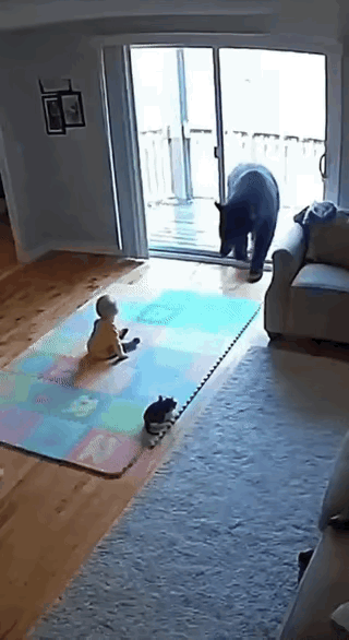 过分了。有没有人和我一样觉得，这里面有点过分。