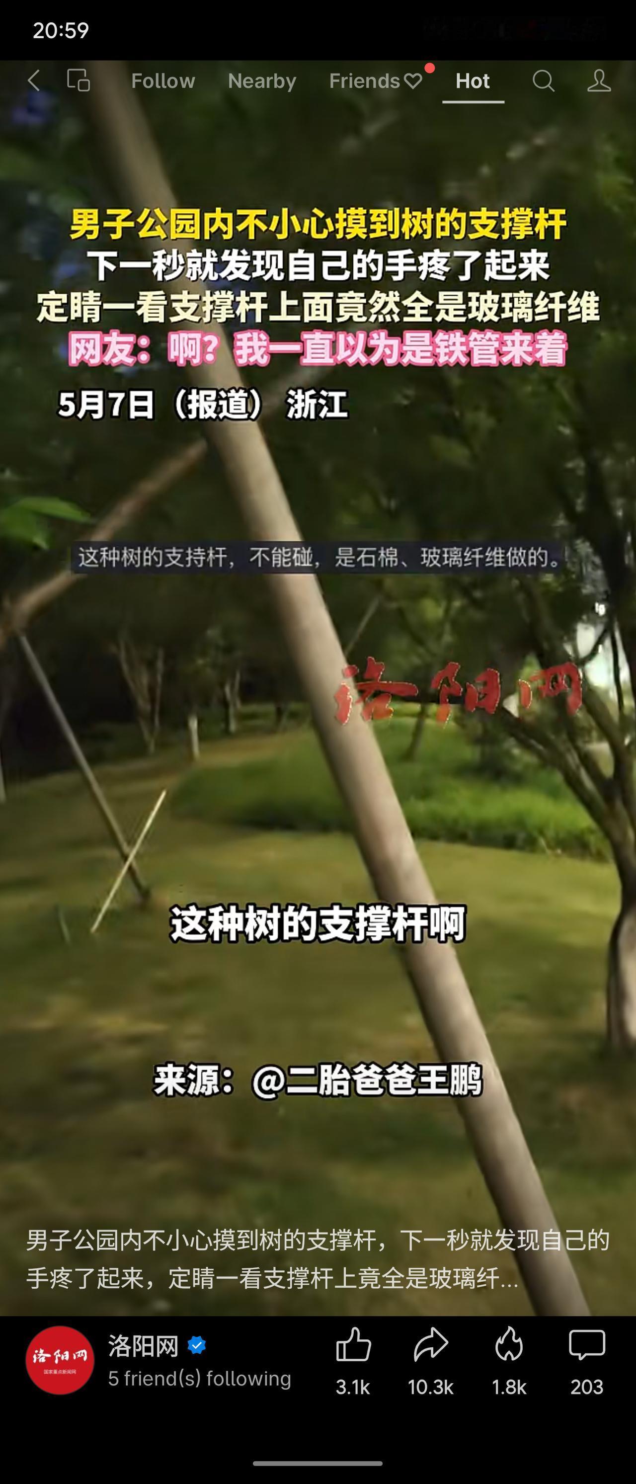 男子在公园误触树支撑杆后手部剧痛，发现竟是玻璃纤维制成而非铁管，引发热议。网友纷