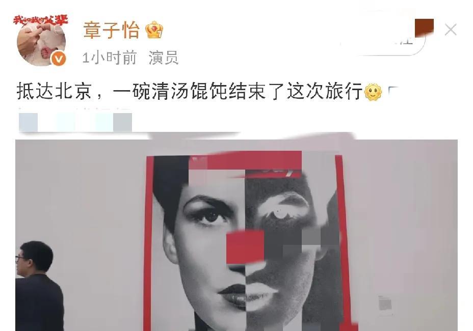 章子怡，高调发文！2025年5月15日上午，许久未露面的章子怡在社交平台高